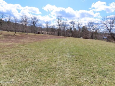 Huge Backyard