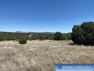 Tract B Hideaway Trail, Silver City, NM 88061 - photo 7