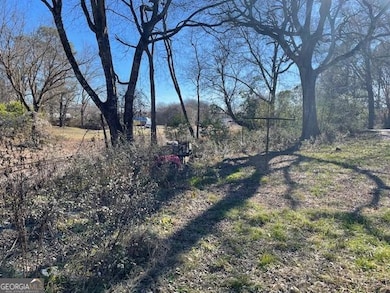 427 Park St, Cedartown, GA 30125 - photo 3