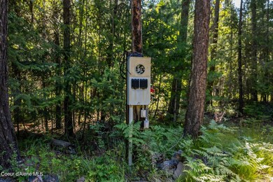 NNA Cheyenne Dr, Sagle, ID 83860 - photo 7