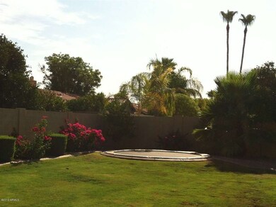 Built in Trampolinle