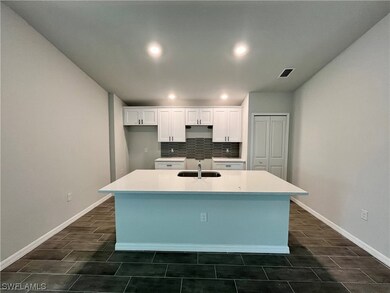 unlisted-address, Lehigh Acres, FL 33974 - photo 2