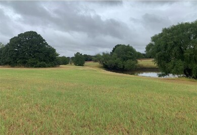 489 Hlavek Rd, Decatur, TX 76234 - photo 4