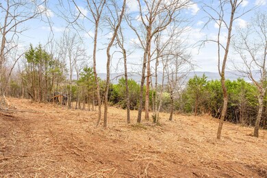 Cleared Area