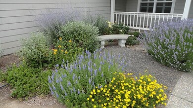 Front Courtyard