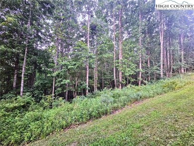 21 Eagle Landing Dr, Crumpler, NC 28617 - photo 2