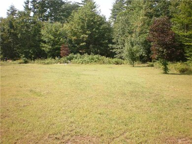 Yard/Garden. Front Yard