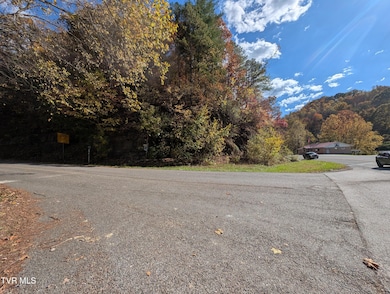 TBD Indian Creek Rd, Pound, VA 24279 - photo 4