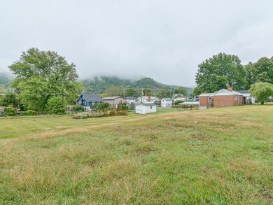 733 Maple extra lot 1