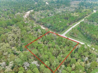 498 Lonestar Rd, Huntsville, TX 77340 - photo 7