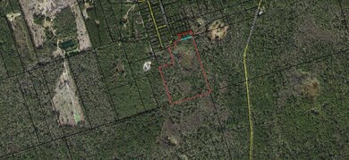 xx Simmie Dr, Crawfordville, FL 32327 - photo 6