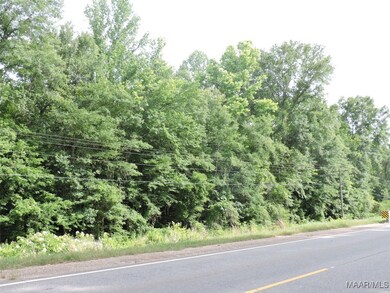 00 Mobile Rd, Greenville, AL 36037 - photo 6