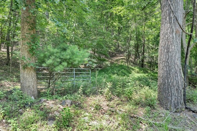 6133 Poor Mountain Rd, Salem, VA 24153 - photo 6