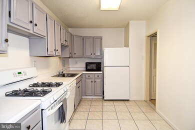 Skyline Plaza unit 207N, Baileys Crossroads, VA 22041 - photo 3