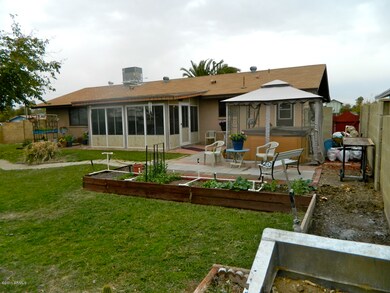 Back Yard 3