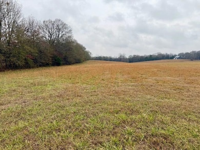 8.04 ac Norman Rd, Corinth, MS 38834 - photo 2