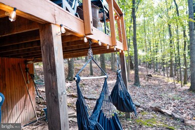 760 Cardinal View Rd, Paw Paw, WV 25434 - photo 6