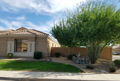 Large Side Yard