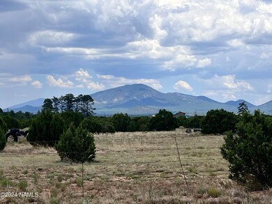 Views Looking East