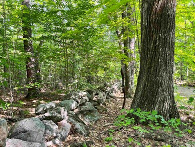 0 Gerrish Rd unit 43-4-3 4917218, Webster, NH 03303 - photo 2