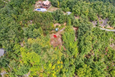 2251 Patterson Lead Way, Sevierville, TN 37876 - photo 2