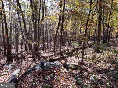 0 Roberts Ln unit 1004071929, Great Cacapon, WV 25422 - photo 2