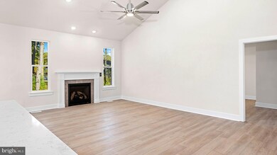 32032 Carlisle Ct, Frankford, DE 19945 - photo 4