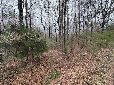 988 Rd 821, Saltillo, MS 38866 - photo 4