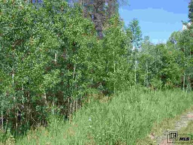 32615 Colt Trail, Oak Creek, CO 80467 - photo 4