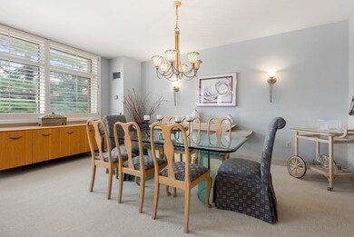 79 Florence St unit 308S, Chestnut Hill, MA 02467 - photo 7