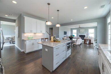 202 Alico Dr, Blacksburg, VA 24060 - photo 6