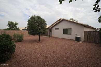 backyard2