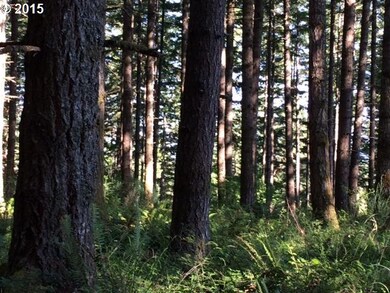 16876 S Boyles Rd, Molalla, OR 97038 - photo 3