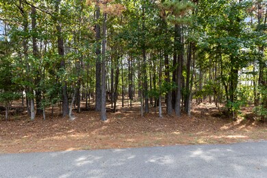 34202 Conroe Huffsmith Rd, Magnolia, TX 77354 - photo 3