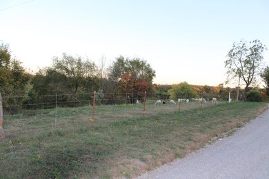 IMG_0428