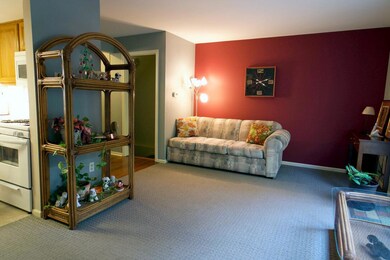 birchcrest -15