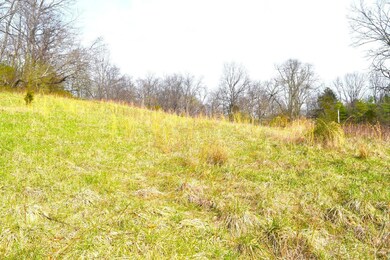 17078 Pine Hill Rd, Metamora, IN 47030 - photo 4