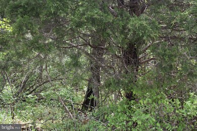 14109 Maple Ridge, Hancock, MD 21750 - photo 3