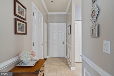 2310 14th St N unit 307, Arlington, VA 22201 - photo 2
