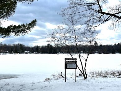 0 10 + - Acres Beaver Rd unit 22007967, Bitely, MI 49309 - photo 7