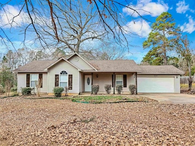 2950 E 60 Hwy, Bigelow, AR 72016 - photo 2