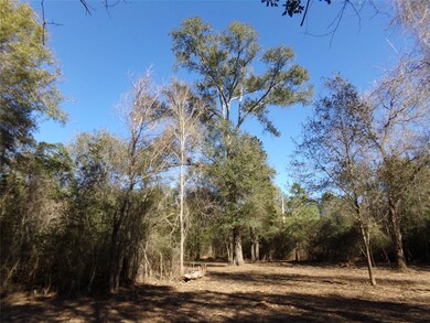 31317 Joseph Rd, Hockley, TX 77447 - photo 6