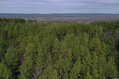 0000 Fs Rd 146, Rover, AR 72860 - photo 5