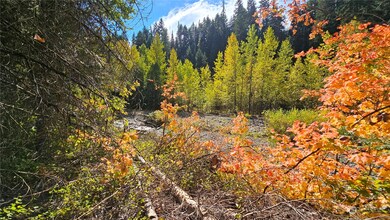 0 20&22 Middle Fork Ln, Cle Elum, WA 98922 - photo 7