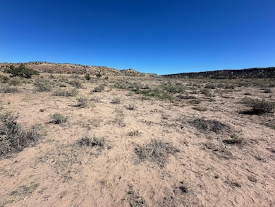 Tbd Longo Ln, Saint Johns, AZ 85936 - photo 4