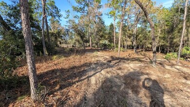 0 SW 53rd St unit MFROM714620, Ocala, FL 34481 - photo 5