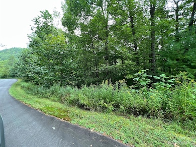103 Laurel Thicket Ln, Brevard, NC 28712 - photo 2