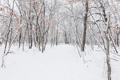 18 AC Solem Lake Rd SW, Kensington, MN 56343 - photo 4