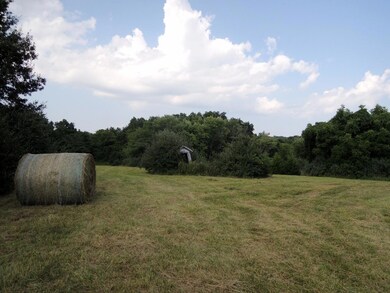 View of Land