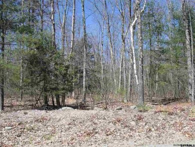 0 Gentile Rd unit 201820186, Stephentown, NY 12168 - photo 3